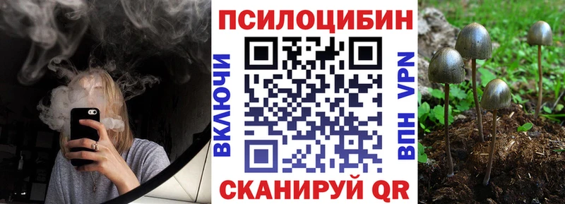 Псилоцибиновые грибы Psilocybine cubensis МЕГА ССЫЛКА Гатчина