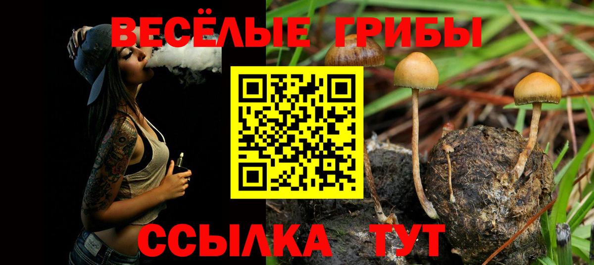 Галлюциногенные грибы Psilocybine cubensis  Псилоцибиновые грибы Magic Shrooms  Вход с VPN  Гатчина 