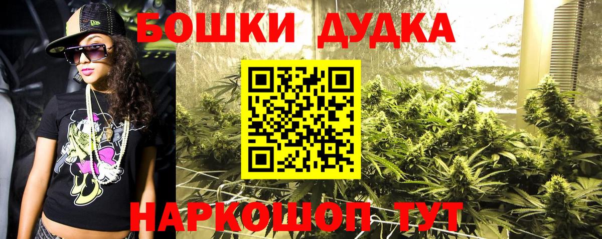 Шишки марихуана конопля Гатчина